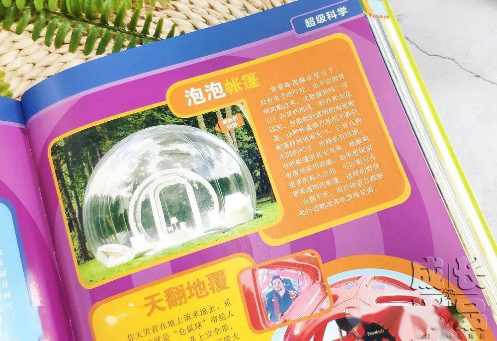 孩子|扔掉电视！一张图说清，7岁以上孩子该读什么书（7岁+）