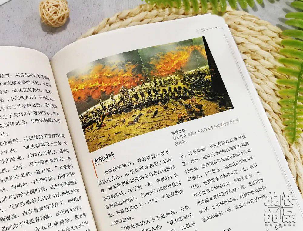 孩子|扔掉电视！一张图说清，7岁以上孩子该读什么书（7岁+）