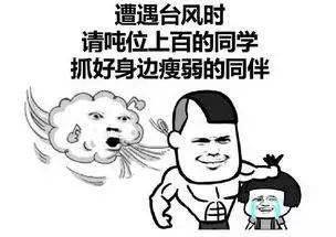 8da87caee23943d4914dba2ed9327c96.jpeg