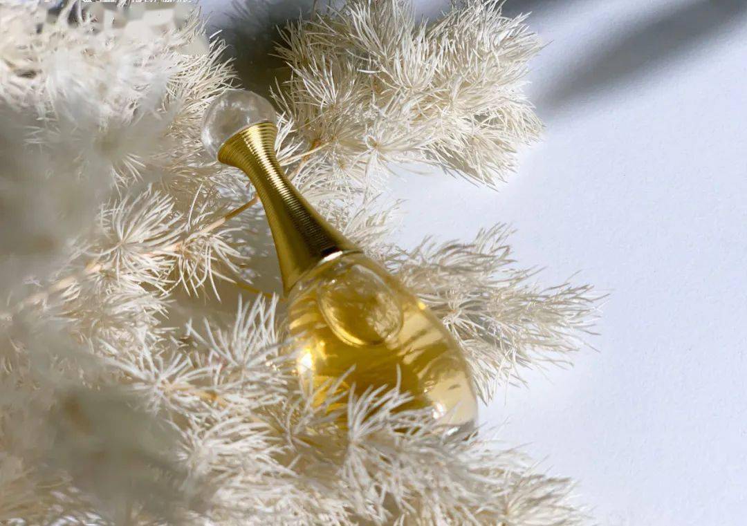 Dior|无法抵挡的女人香丨好物