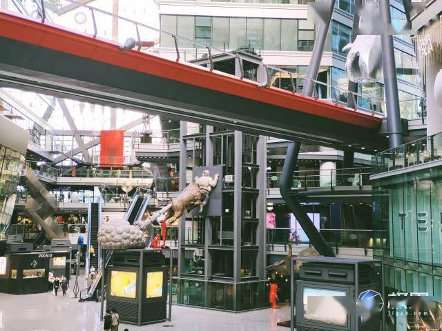 vivo|vivo最强拍照旗舰体验！你与好照片只差一台X50 Pro＋