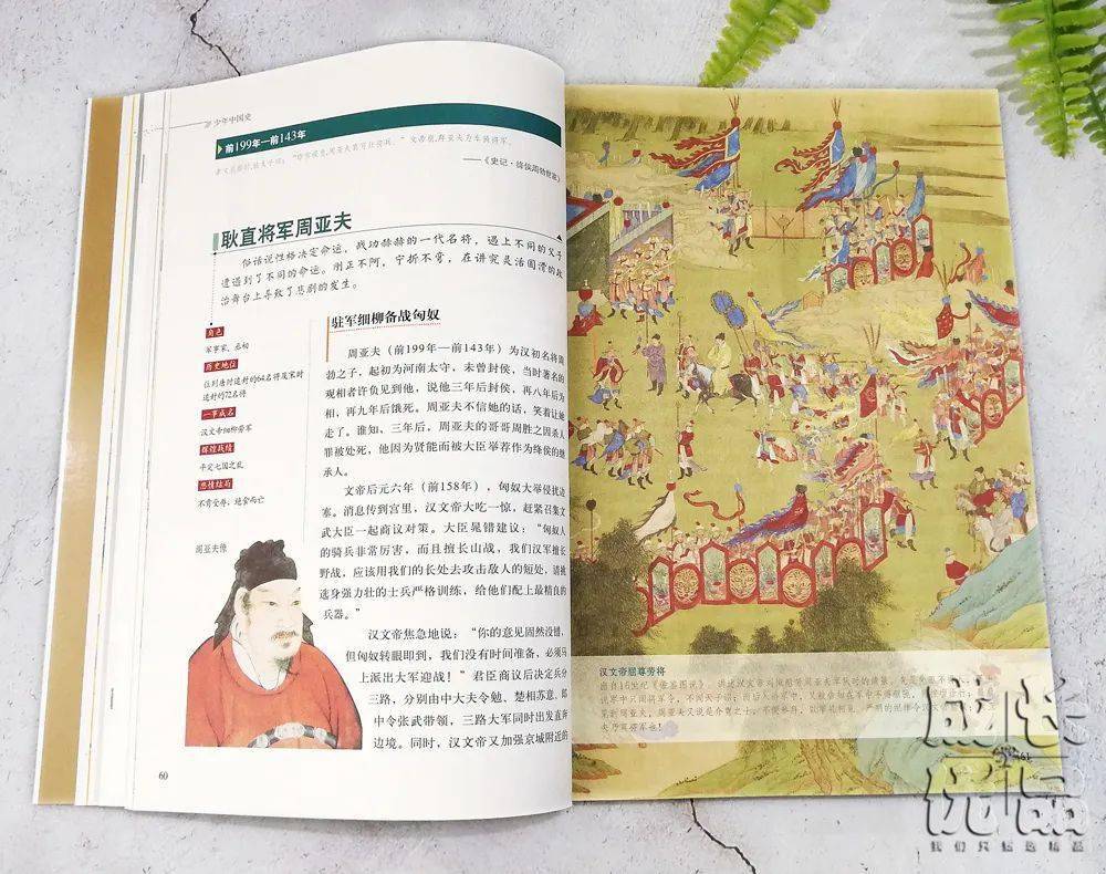 孩子|扔掉电视！一张图说清，7岁以上孩子该读什么书（7岁+）