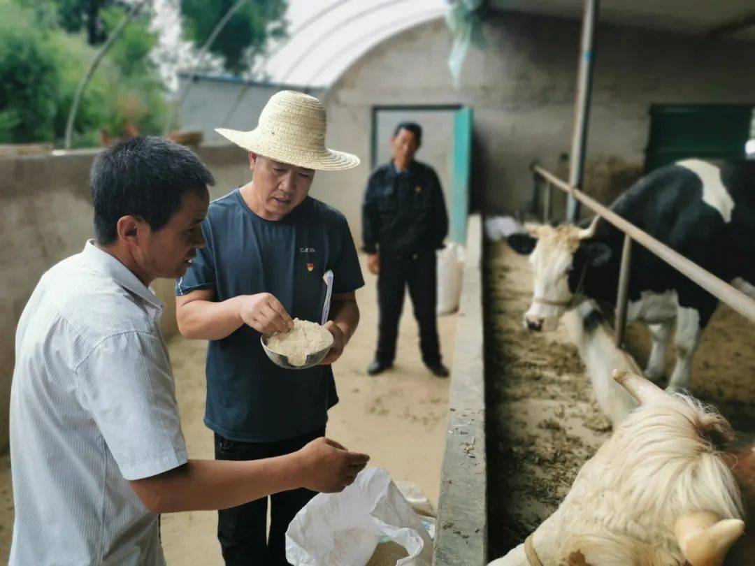 西吉县有多少人口(3)