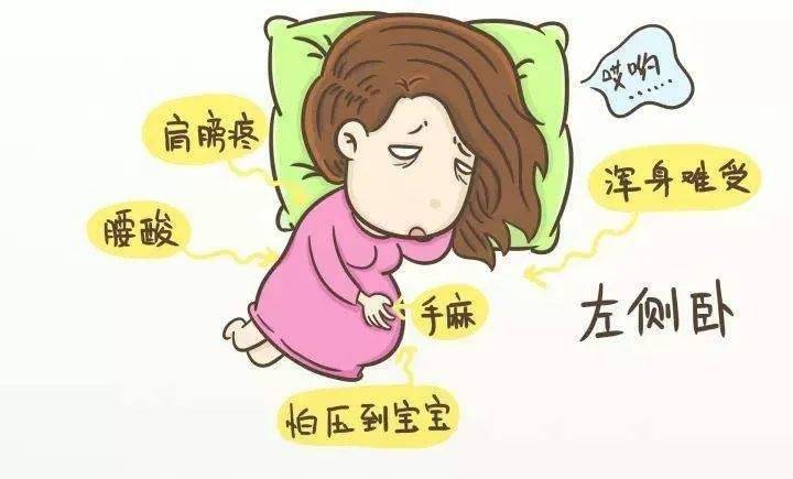 吃什么能让人睡得沉 126a92def4ee47a6b75958543e197ea4.jpeg