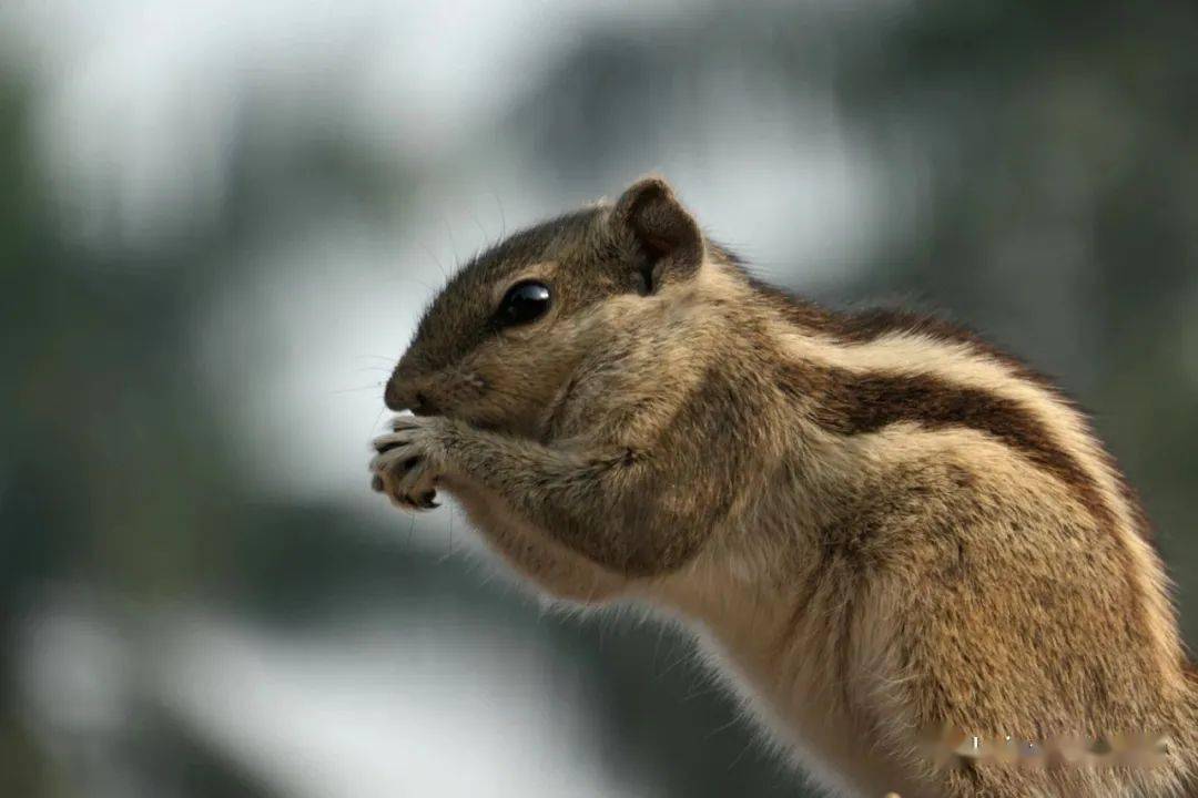 C-lux|徕卡那么贵，为什么还有这么多人买？