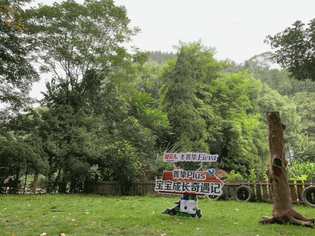 济南影视《闪亮吧!