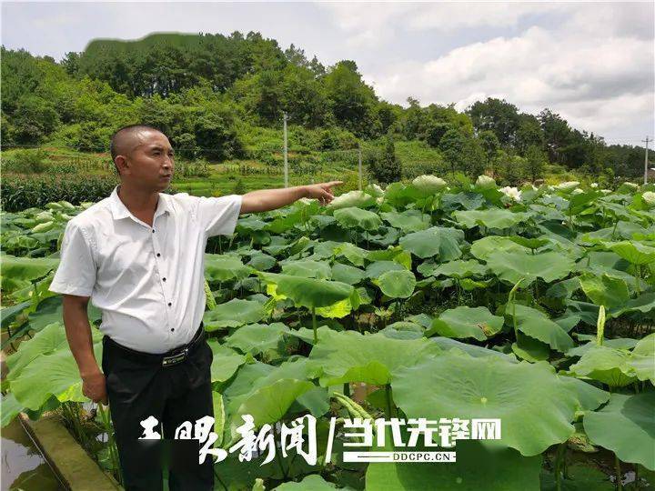 安顺市平坝区羊昌乡龙海村引产业就业活水走稳脱贫致富路