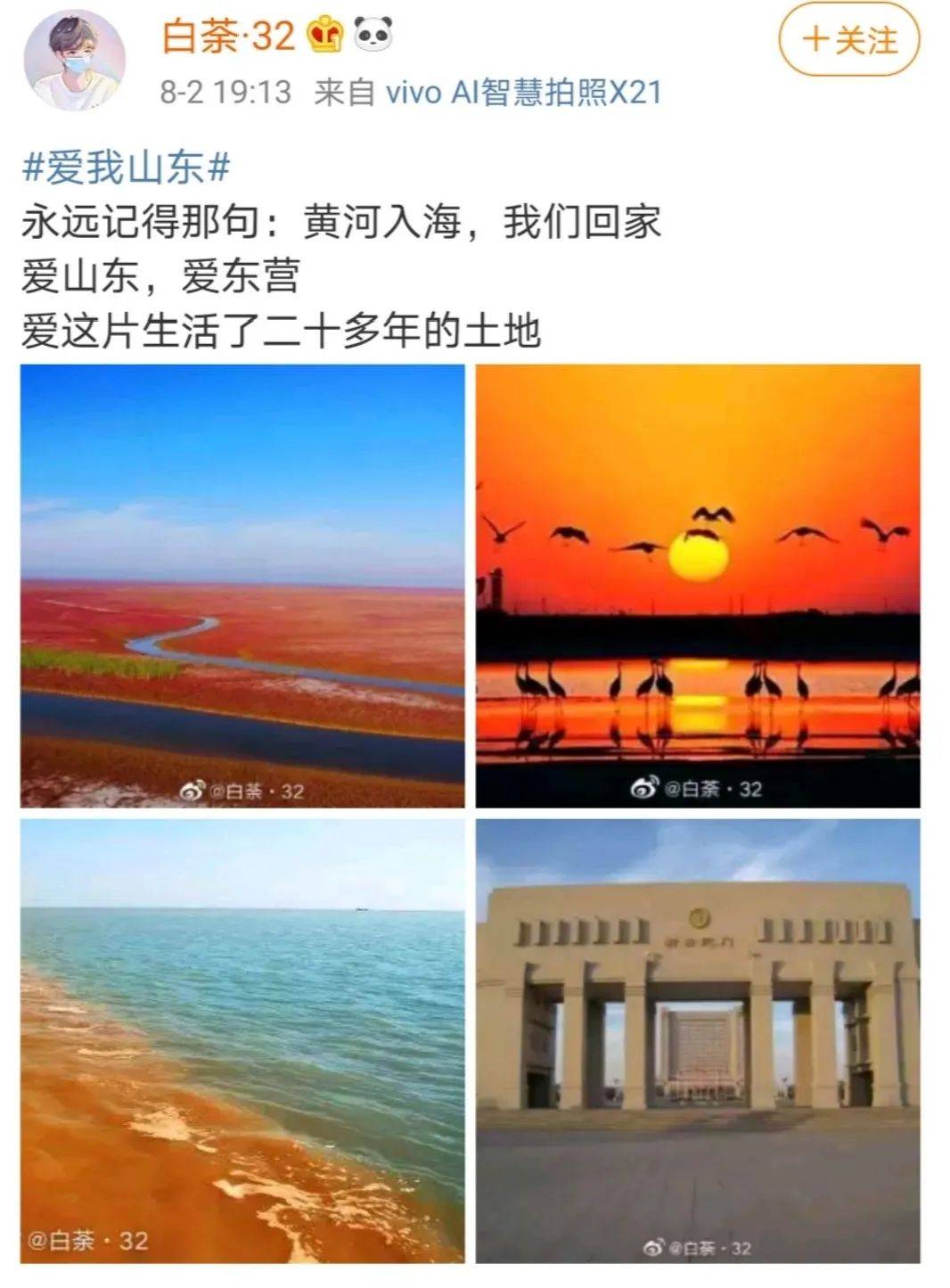 山东|10天，7000万+！你还在等什么