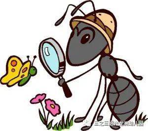 蚂蚁搬家写一段话20字 1a0998a8b1954c318ca290c5b71c57d1.jpeg