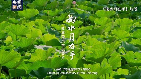 电影节|第23届上海国际电影节丨“前浪”“后浪”汇聚力量新人新作闪耀“金爵”奖