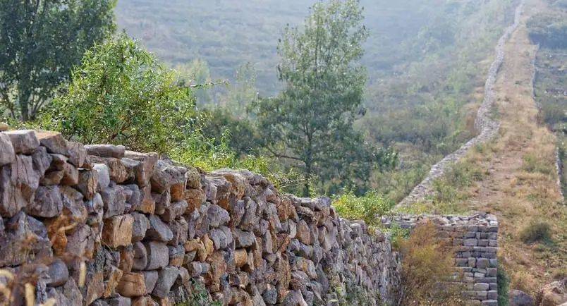 山东|10天，7000万+！你还在等什么