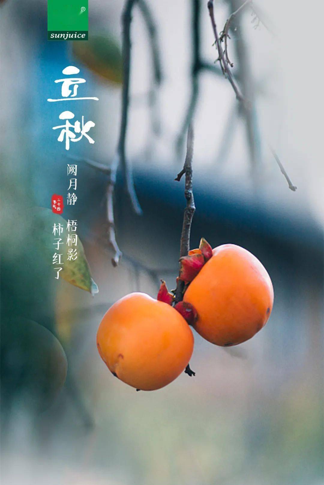 听说美好,你是翘首以盼的惊喜