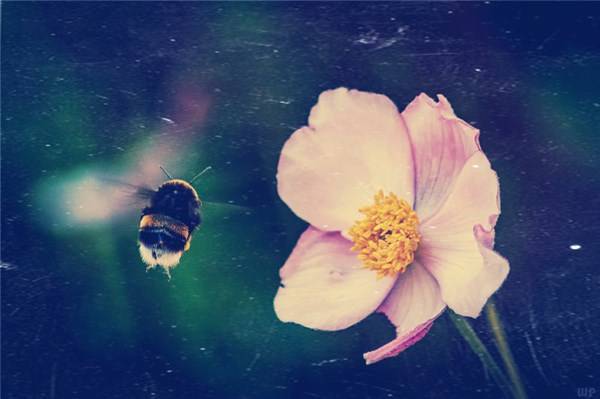 舍离|适合高情商人士的人生感悟，精辟走心，发人深省