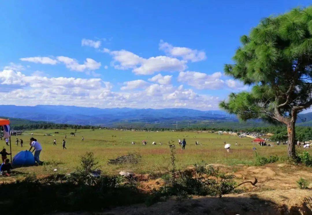 风景秀丽的毛菇山,竟然被人糟蹋成这样……_楚雄市