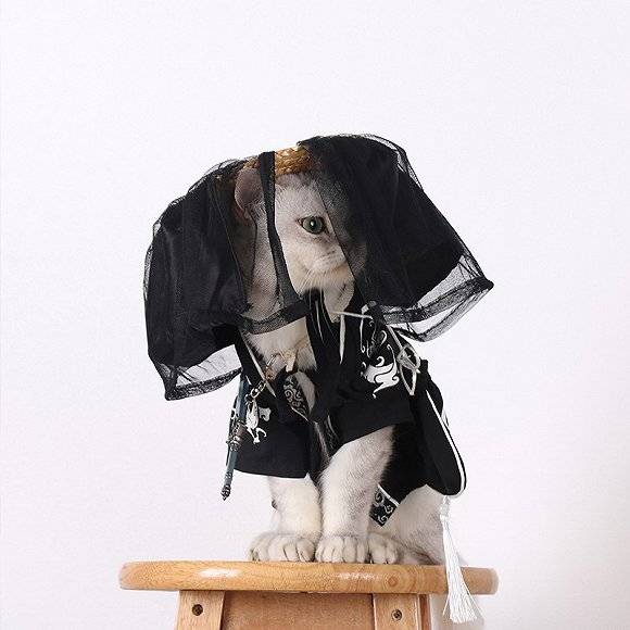 淘宝|造物者生于2020