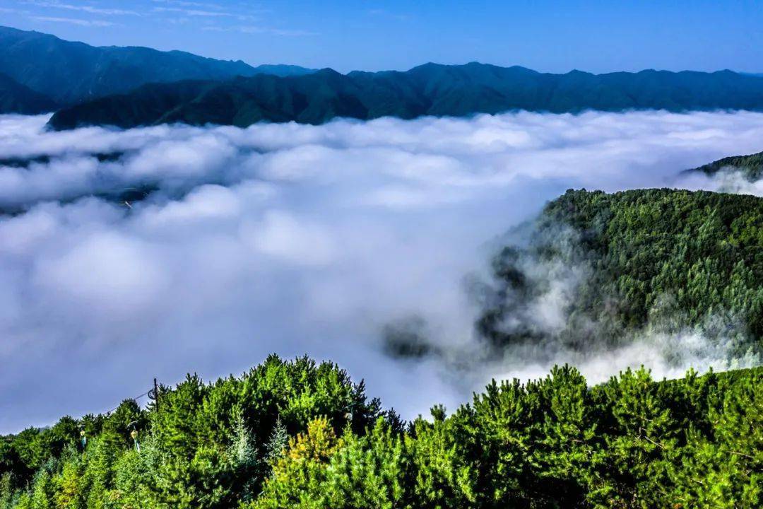 陕西海拔最高的县,掩藏在秦岭深处,云海花海惹人醉