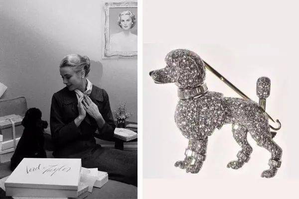 伊丽莎白·泰勒|PICK小姐姐还是珠宝? 你说了算!