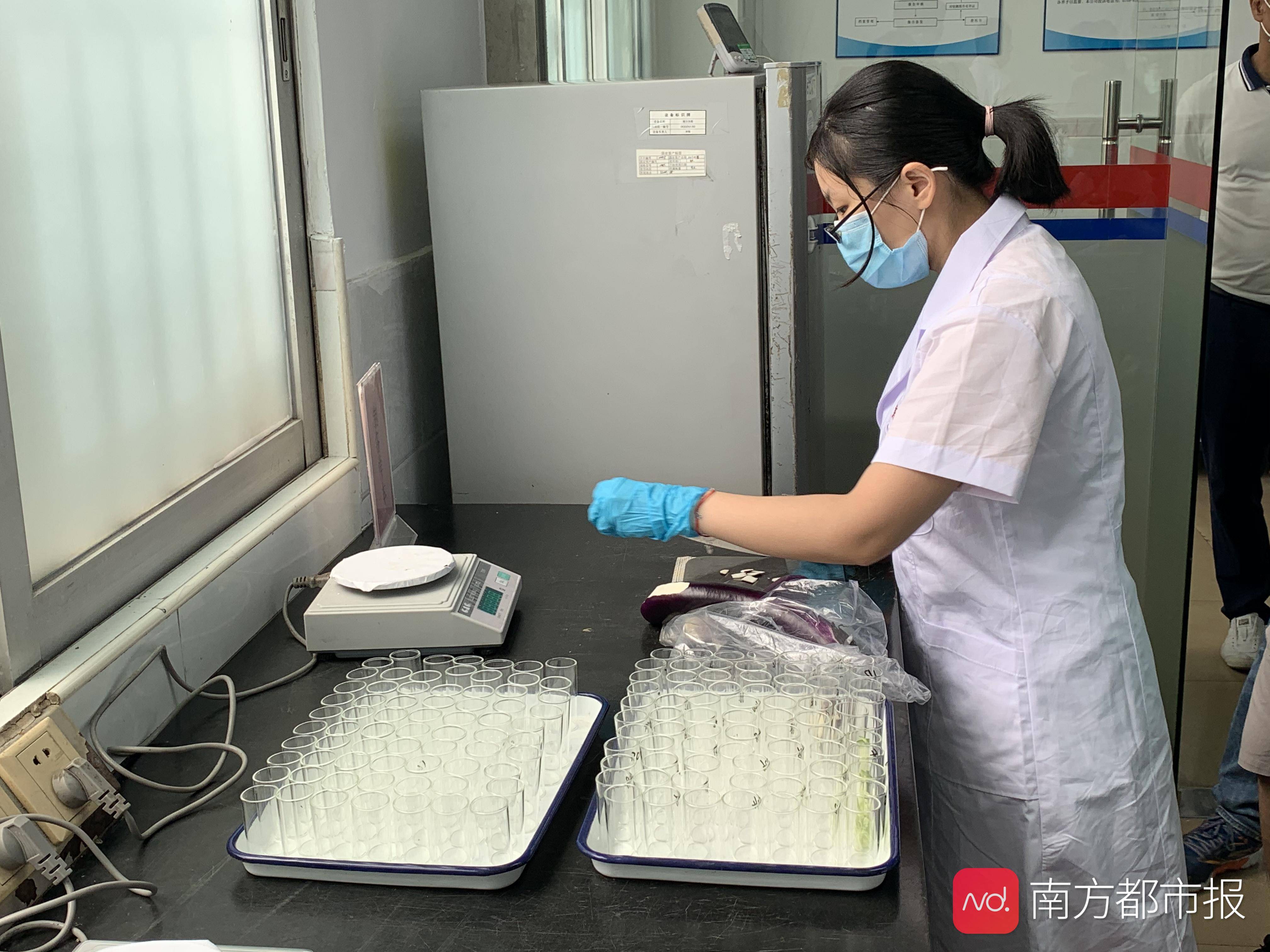 中小|东莞电子信息产业重镇能否稳住龙头，带中小微企业走出困境？