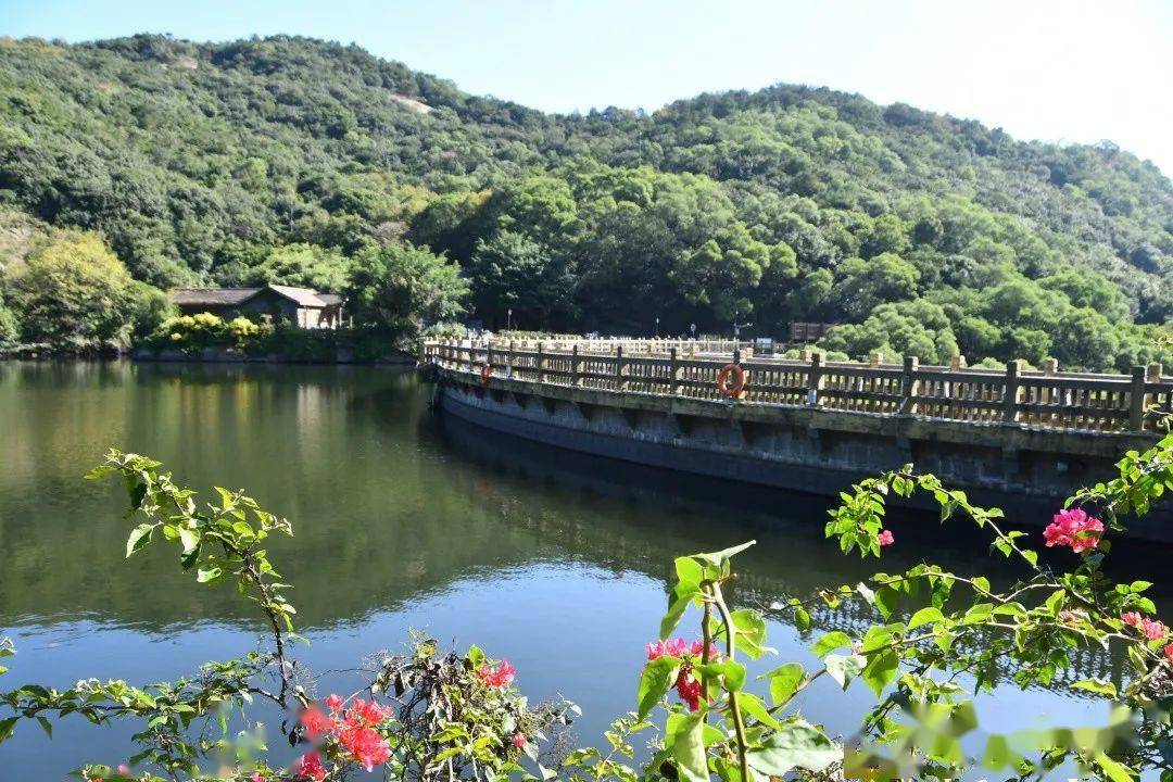 走上清源山拍照去