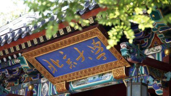 陈旭|考古系的学生毕业后都在做什么？