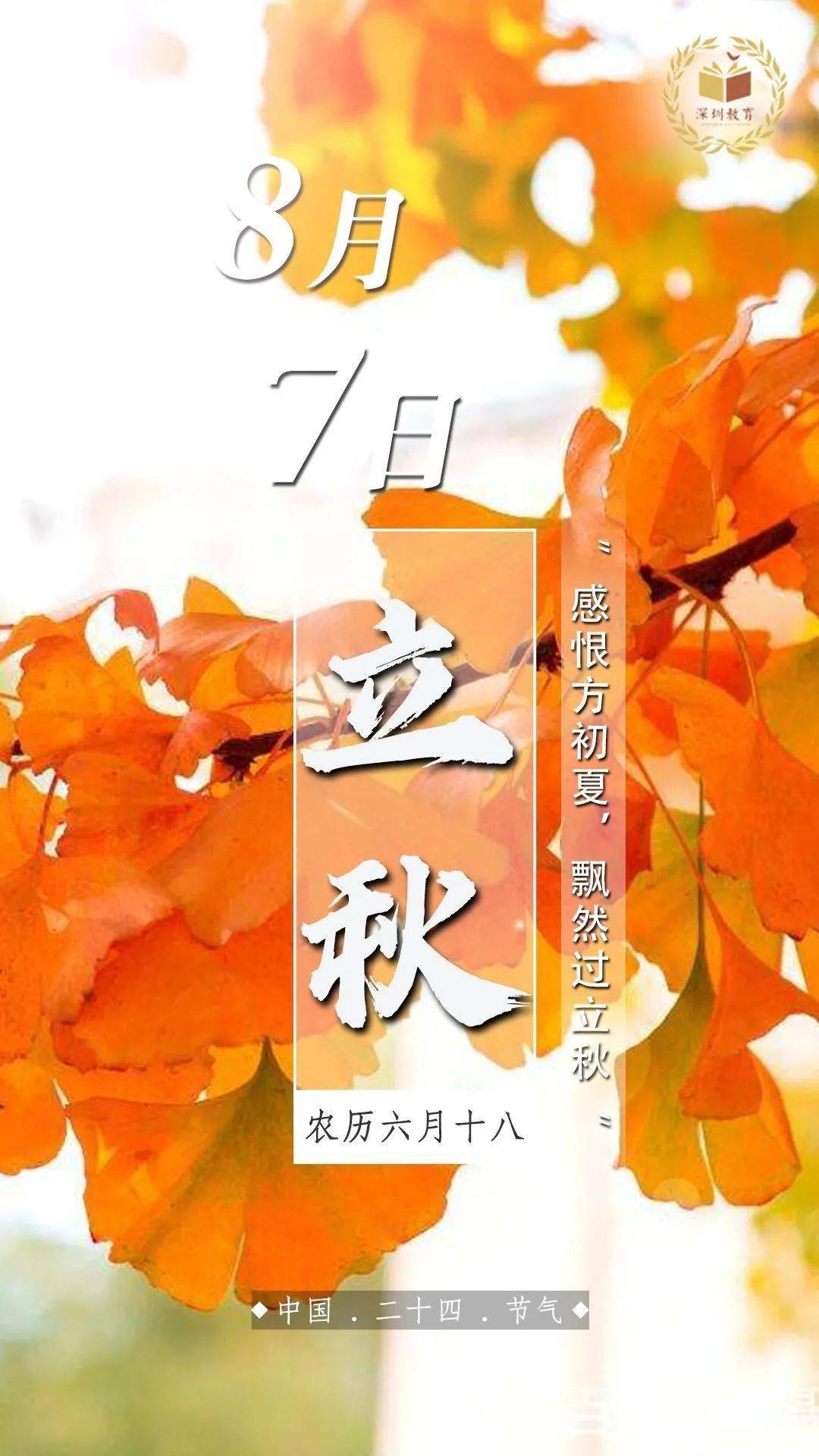 立秋 autumn 深圳的八月暑气未消, 不知不觉中, 夏季却已悄悄过去