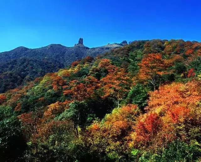 〖梵净山4月天气3月份梵净山天气〗