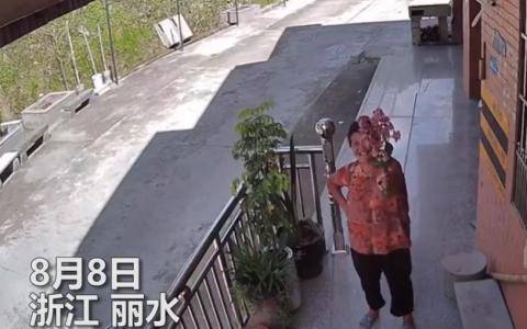 孙女|好暖！奶奶隔着监控和孙女分享日常 ：花花、菜菜和石头