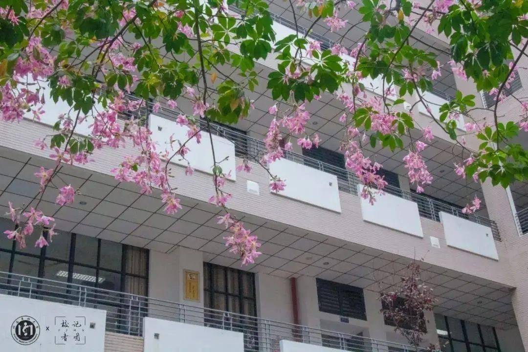 福建|千万别去福医大上学！我劝你