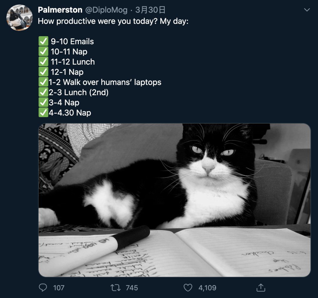 b5ba1c49173d45d391d2635097417ca7.png