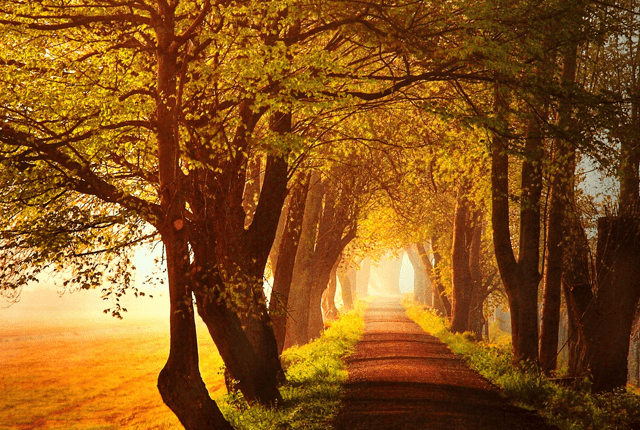 ca7a5e3409d345bfb4653496ca61d6b7.png