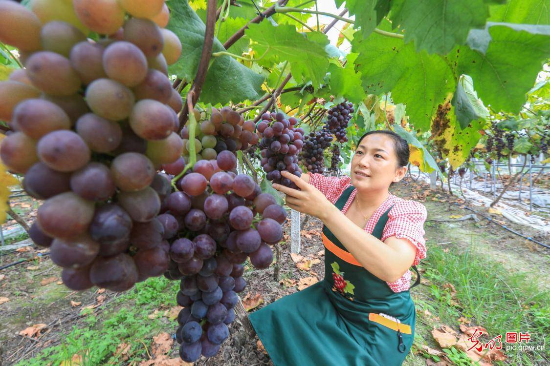 2020湘西自治州各县g_湘西土家族苗族自治州