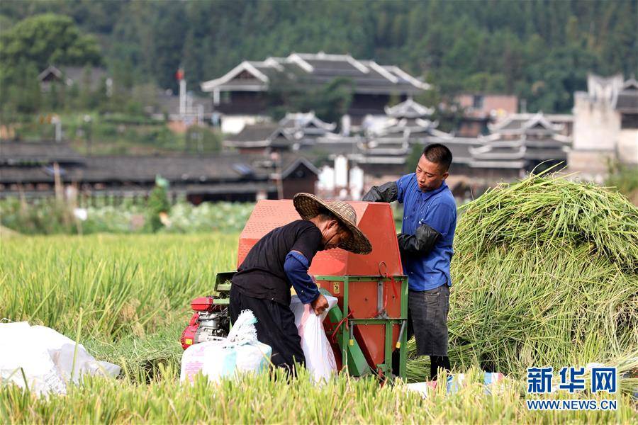 三江县良口乡白毛村贫困人口_三江县良口乡良帽村