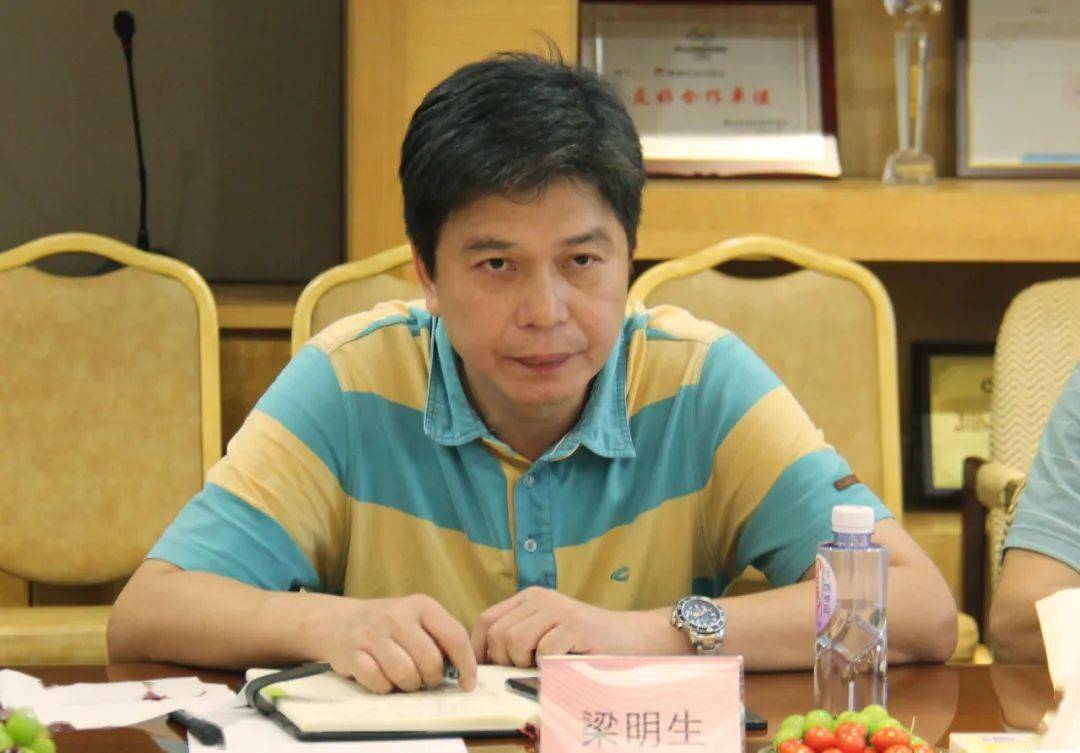 顺德龙江镇经济总量_顺德龙江镇总体规划图(2)