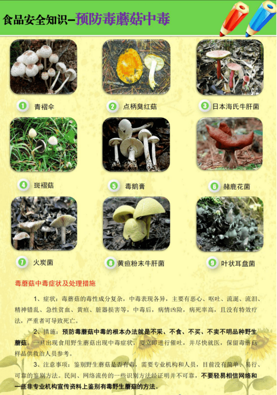 东方市关于预防野生蘑菇中毒的消费提示