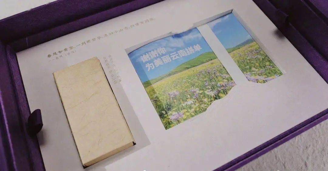 哈工大|网友：看完想要重新高考惊艳！清华大学的录取通知书又火了