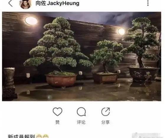 郭碧婷|抄袭服装卖天价，这位豪门公子哥可真敢要！