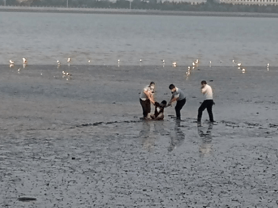 淤泥|“大海我来了，别嫌弃我！”正值涨潮，旅顺小伙躺在海中淤泥里…