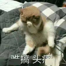 孩子小学英语666，上初中后英语成弱科，该怎么办？