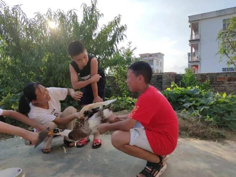 永州|看到成品让人口水直流欧爸的孩子们下厨学做永州血鸭