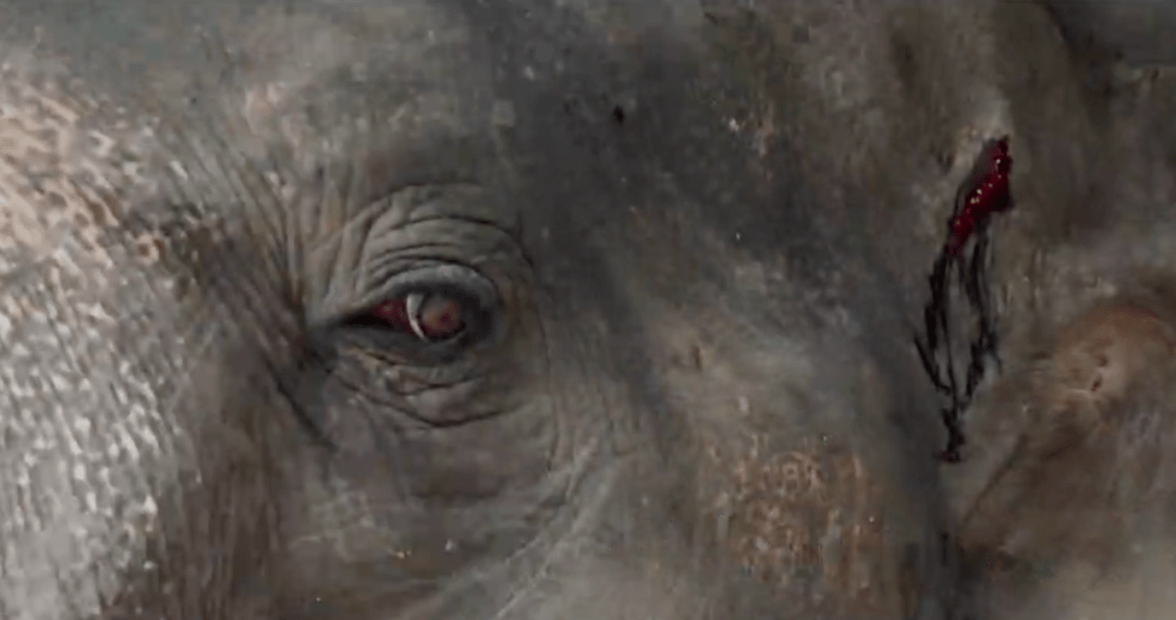 44ebeefdd1714ad09664c41bf9fe338c.png