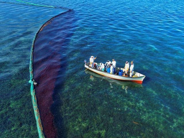 环保倒退20年!日本货船持续漏油,毛里求斯海洋生物开始死亡