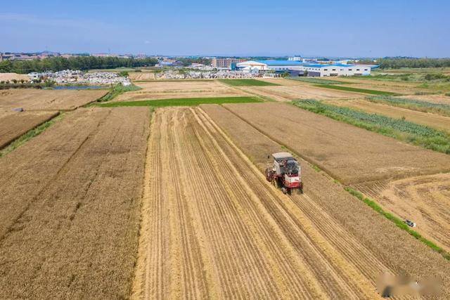 农村土地有以下3种情形的,可以分给新增人口