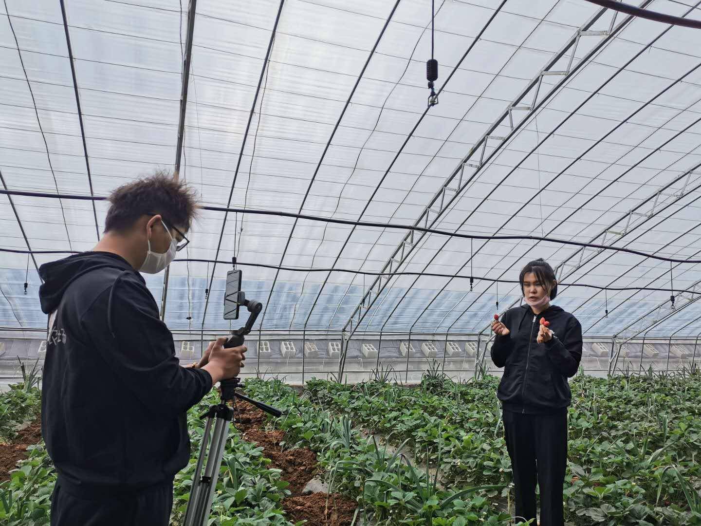 岱岳区|电商经济成为岱岳区经济发展新“引擎”