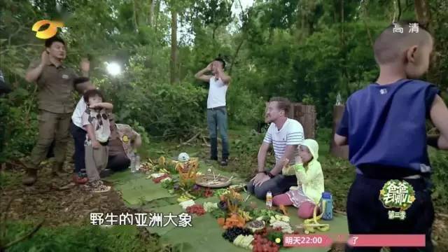 热带雨林|还好吃！【逛吃】西双版纳不仅美