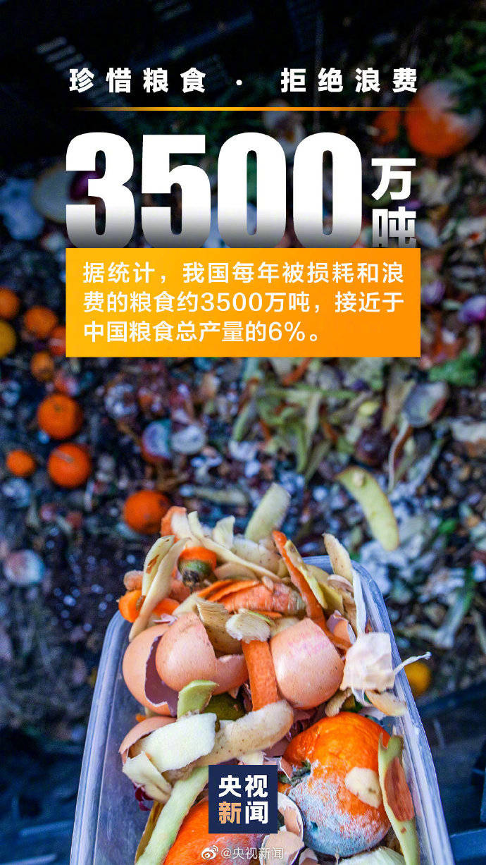 权属|那些关于粮食浪费触目惊心的数字