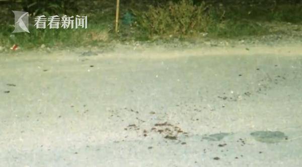 妹妹|为制止妹妹恋爱男子错杀路人 潜逃17年后落网