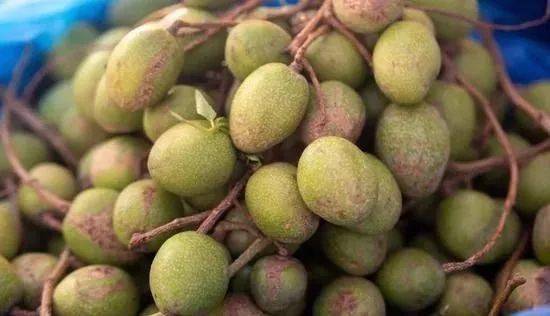 热带雨林|还好吃!【逛吃】西双版纳不仅美