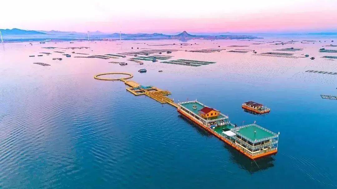 目前, 威海已经创建了 11个 国家级海洋牧场示范区, 31个省级海洋