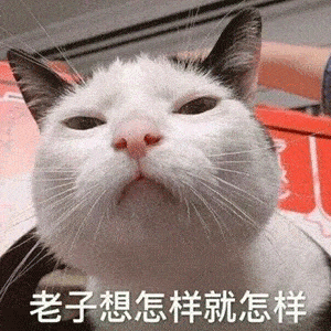 927da8e63e7c40bba0674964962f41f8.gif