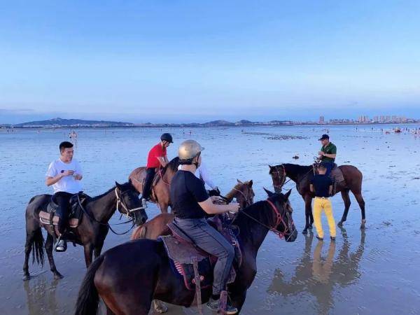 噩耗传来|3男子骑马冲进海里救起12岁男孩！半个月后，噩耗传来…